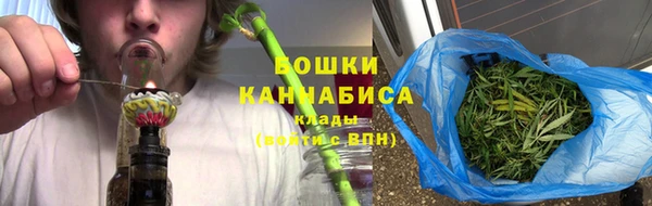 прущие грибы Лагань