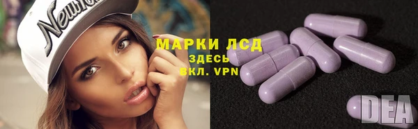 прущие грибы Лагань
